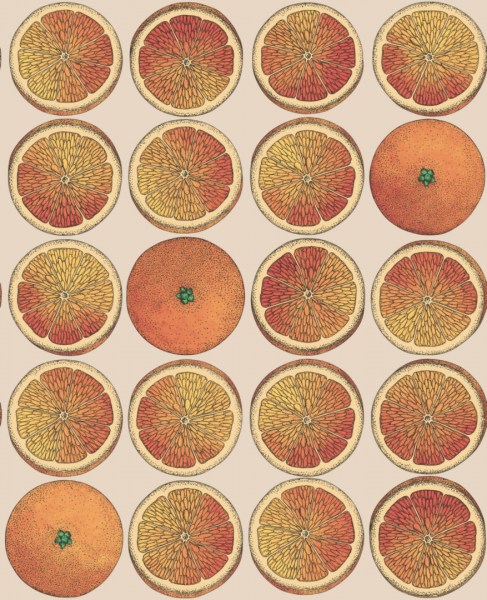 114-24047