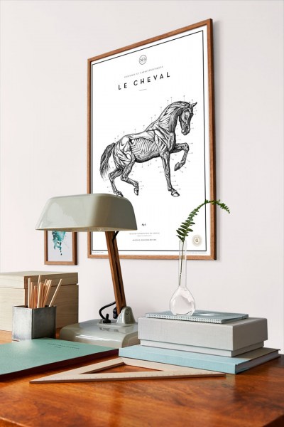 BrightWhite_Image_Roomshot_Office_Item_7950