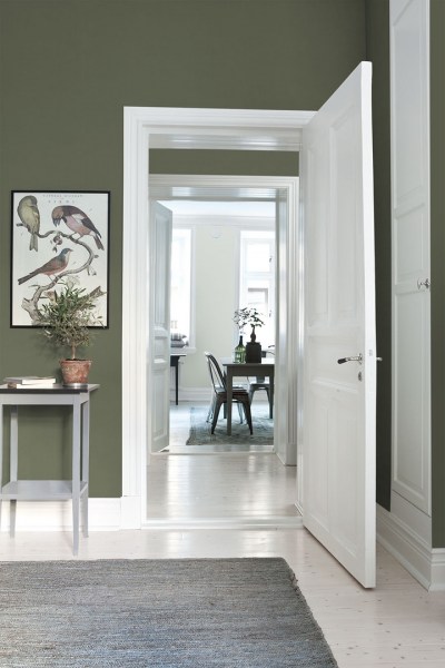 DarkForest_Image_Roomshot_Hall_Item_7978
