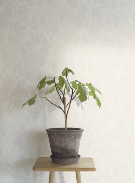 Engblad_White_Light_7167_Fig_02