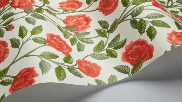 Hampton_Roses_118-7013-w1