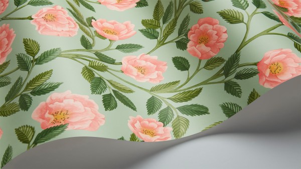 Hampton_Roses_118-7014-w1