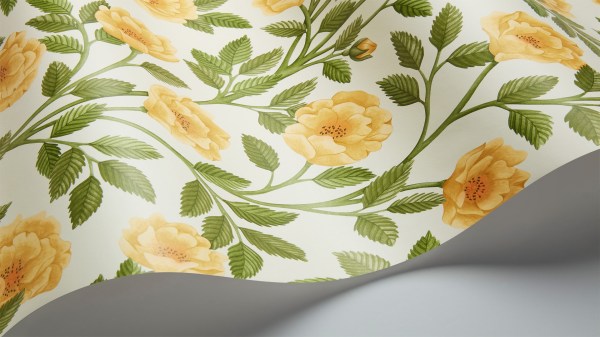 Hampton_Roses_118-7015-w1