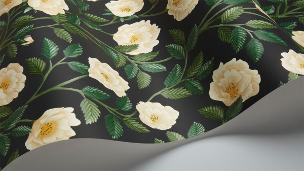 Hampton_Roses_118-7016-w1