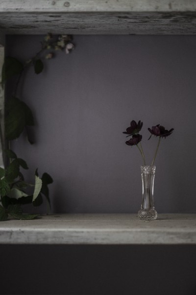 Lilac_Haze_detail_7941