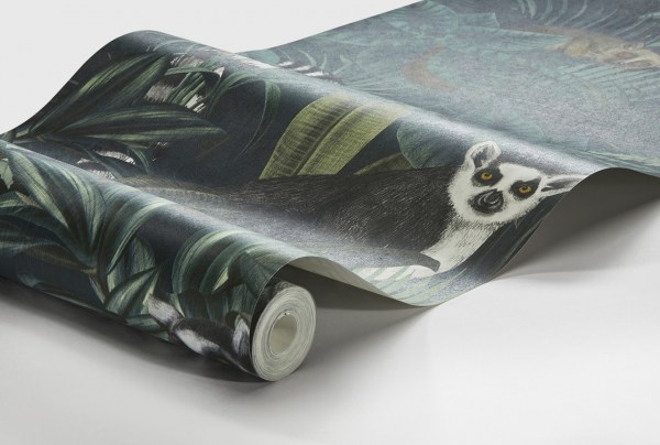 Madagascar_Image_WaveImage_Item_1190