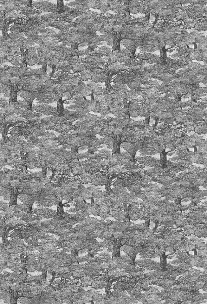 SamburuTree_Image_Flatshot_Item_1193