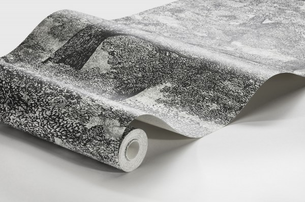 SamburuTree_Image_WaveImage_Item_1193