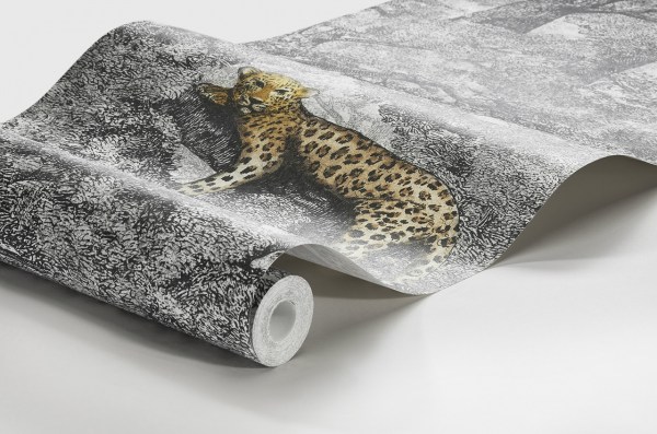 Samburu_Image_WaveImage_Item_1192