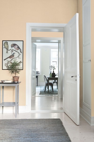 VanillaCustard_Image_Roomshot_Hall_Item_7971