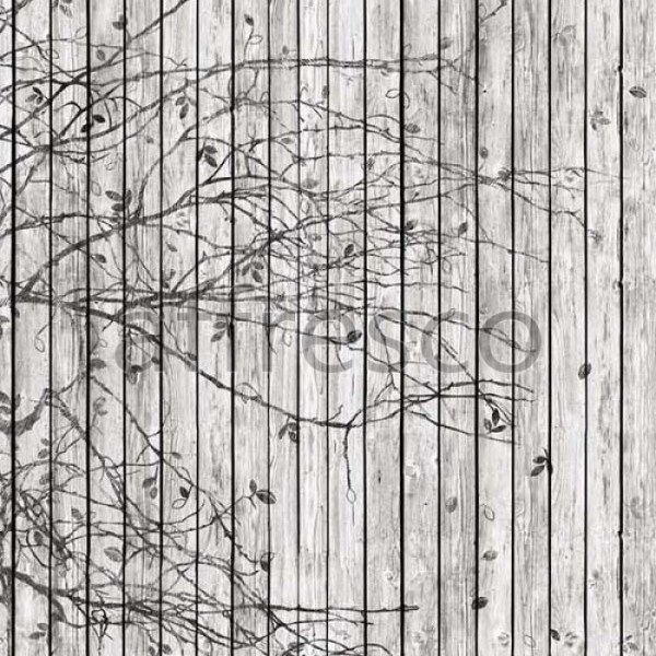 affresco_iv109_col1_cropped_700x700