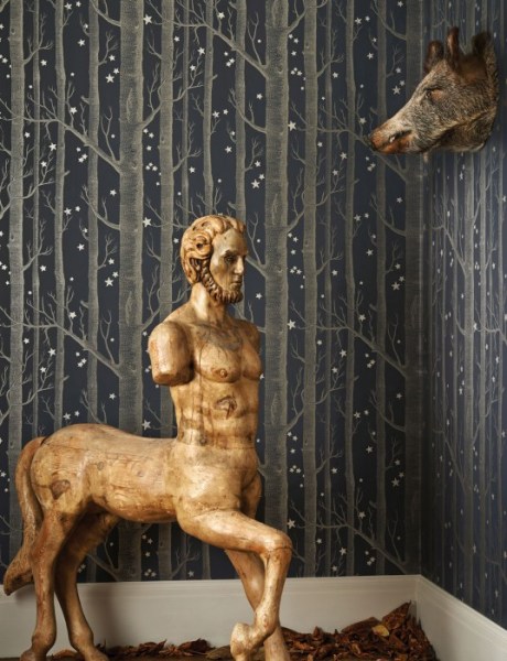 cole-son-whimsical-woods-stars-cropped30_700x700