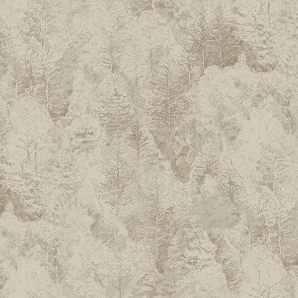 hg3_002_1