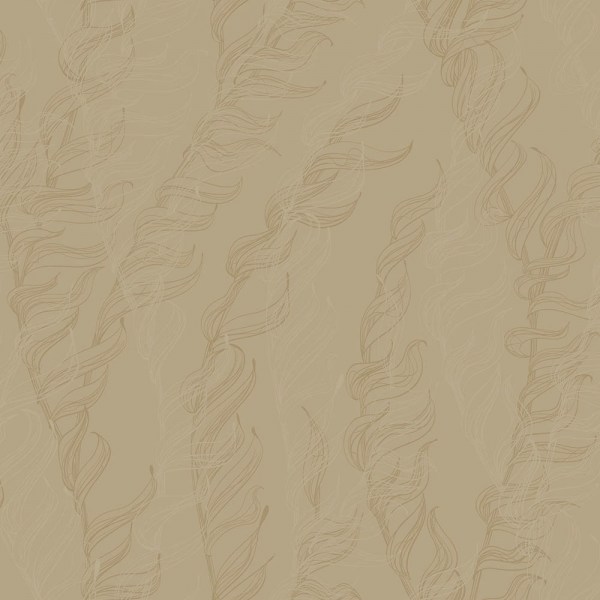 hg4_002_1