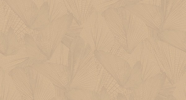 ins6_002