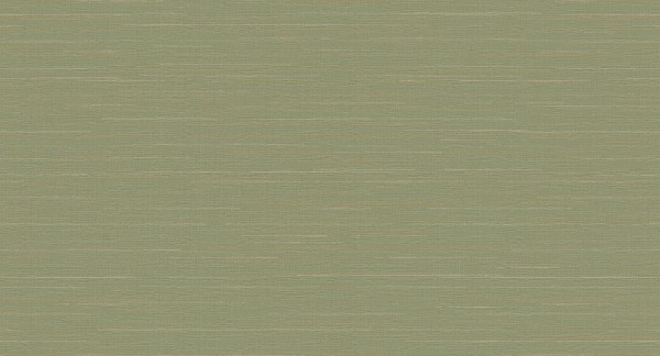 ins9_005_1